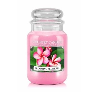 Vonná svíčka Country Candle Blooming plumeria - 652 g / 2-knotová