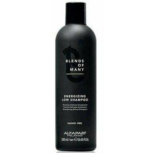 Alfaparf Milano Energizující šampon proti vypadávání vlasů Blends of Many (Energizing Low Shampoo) 250 ml
