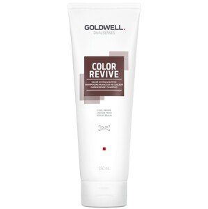 Goldwell Šampon pro oživení barvy vlasů Cool Brown Dualsenses Color Revive (Color Giving Shampoo) 250 ml