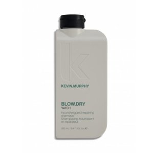 Kevin Murphy Vyživující a obnovující šampon Blow.Dry Wash (Nourishing and Repairing Shampoo) 250 ml