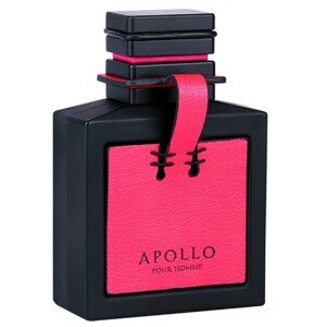 Flavia Apollo Pour Homme - EDP 100 ml