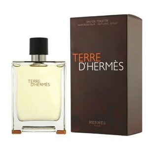 Hermes Terre D´ Hermes - EDT 100 ml