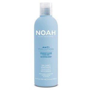 Noah Čisticí A Hydratační Šampon S Extraktem Z Aloe Moringovým Olejem Hair Care 250ml